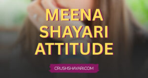 meena shayari attitude