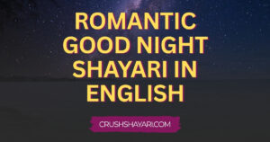 romantic good night shayari in english