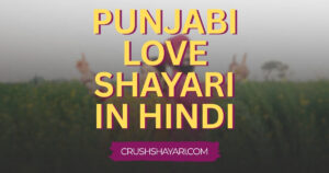 punjabi love shayari in hindi