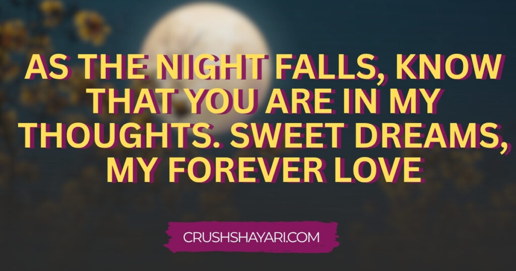 romantic good night shayari in english