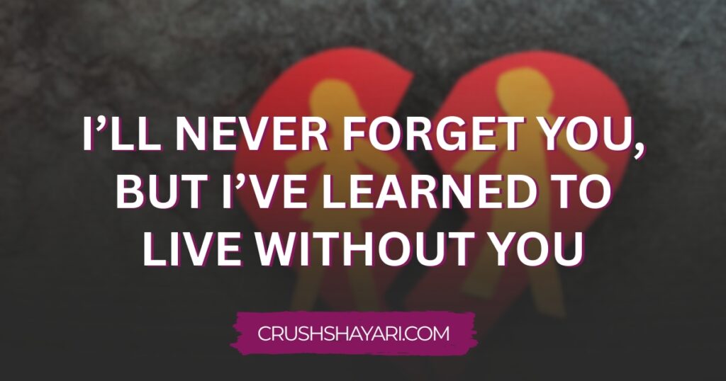 heart touching breakup shayari in english