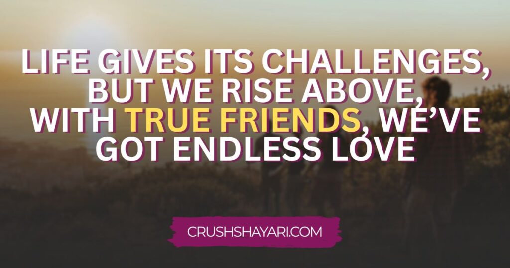 friends attitude shayari in english