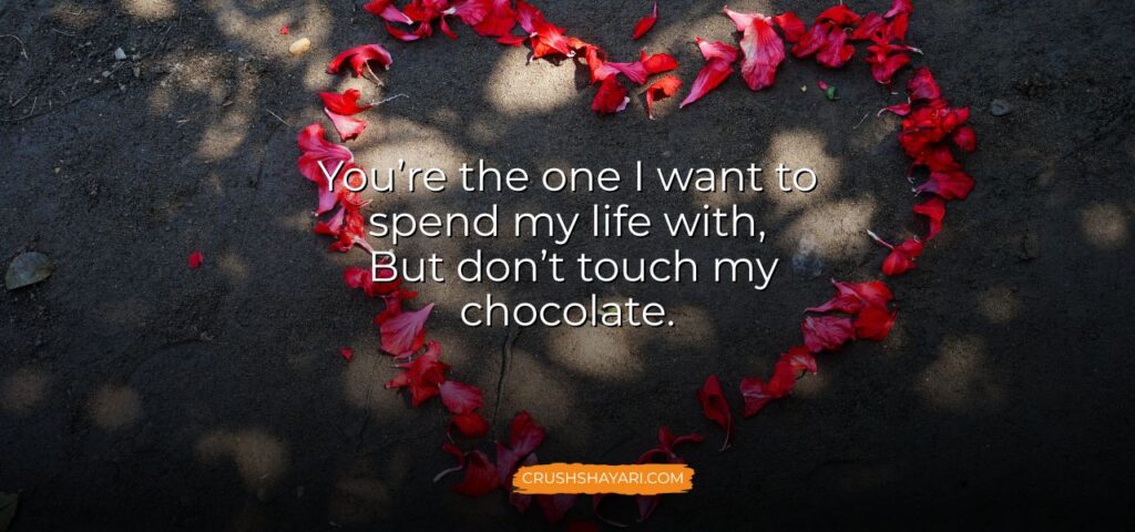 funny love shayari in english